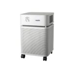 Austin Air HealthMate