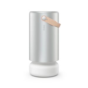 Molekule Air Pro