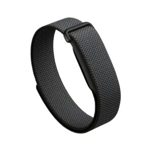 Fitbit Air
